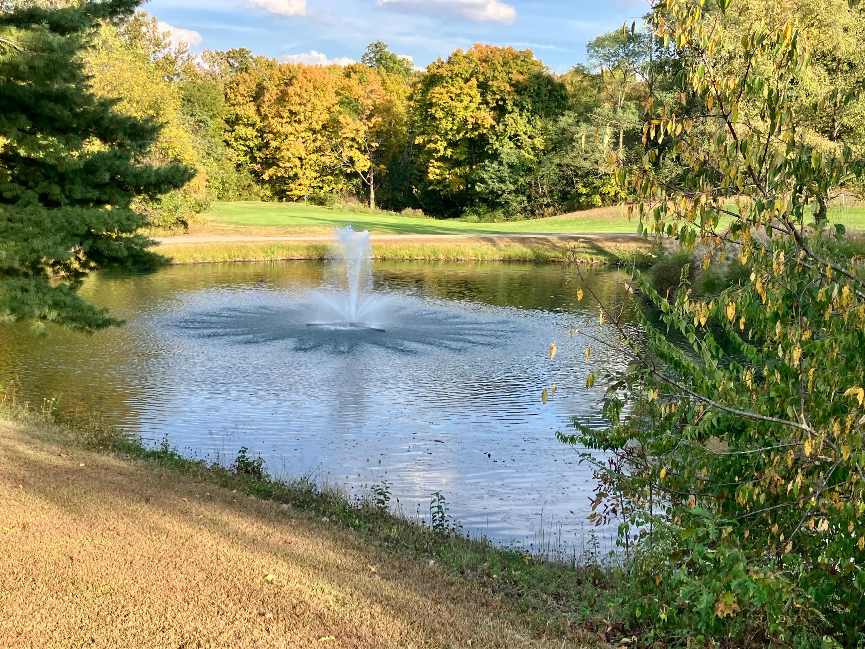 1525 Trophy Court Property Photo