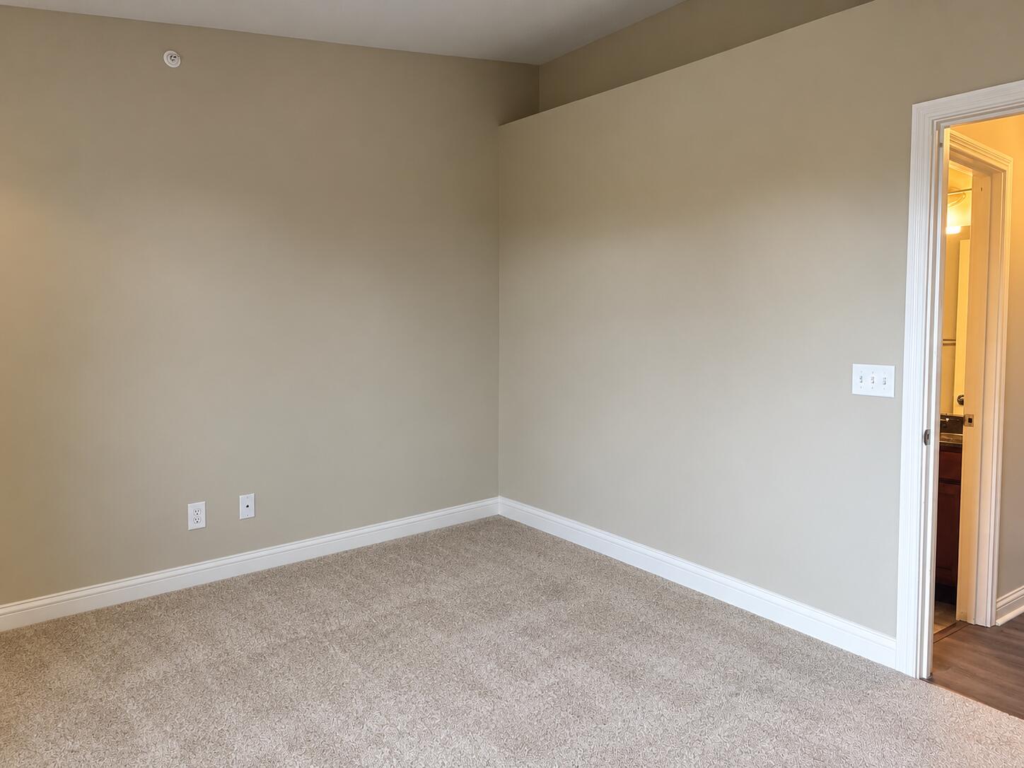 615 Ivy Ridge Drive Property Photo 19
