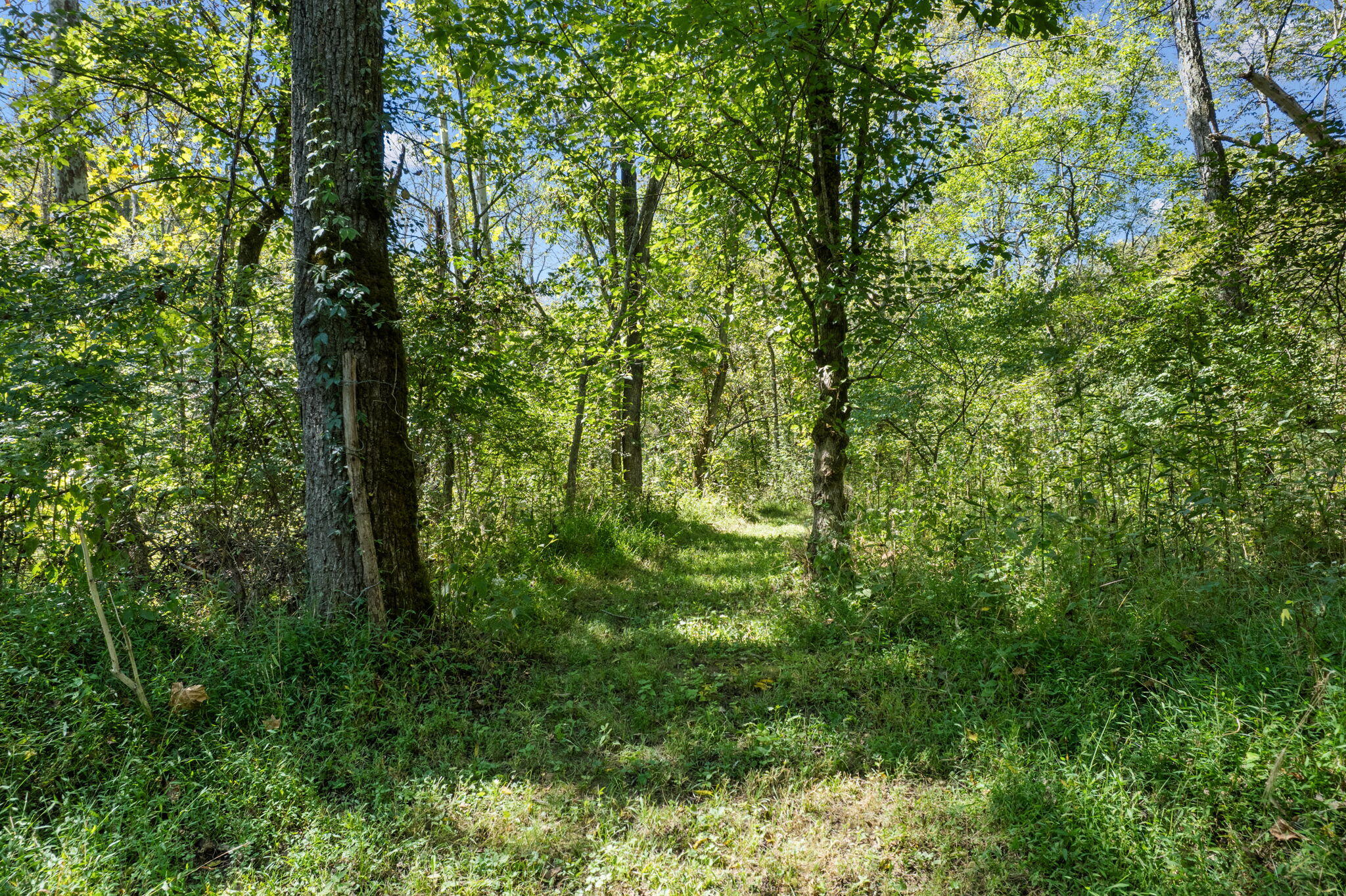 925 Lockmier Road Property Photo 18