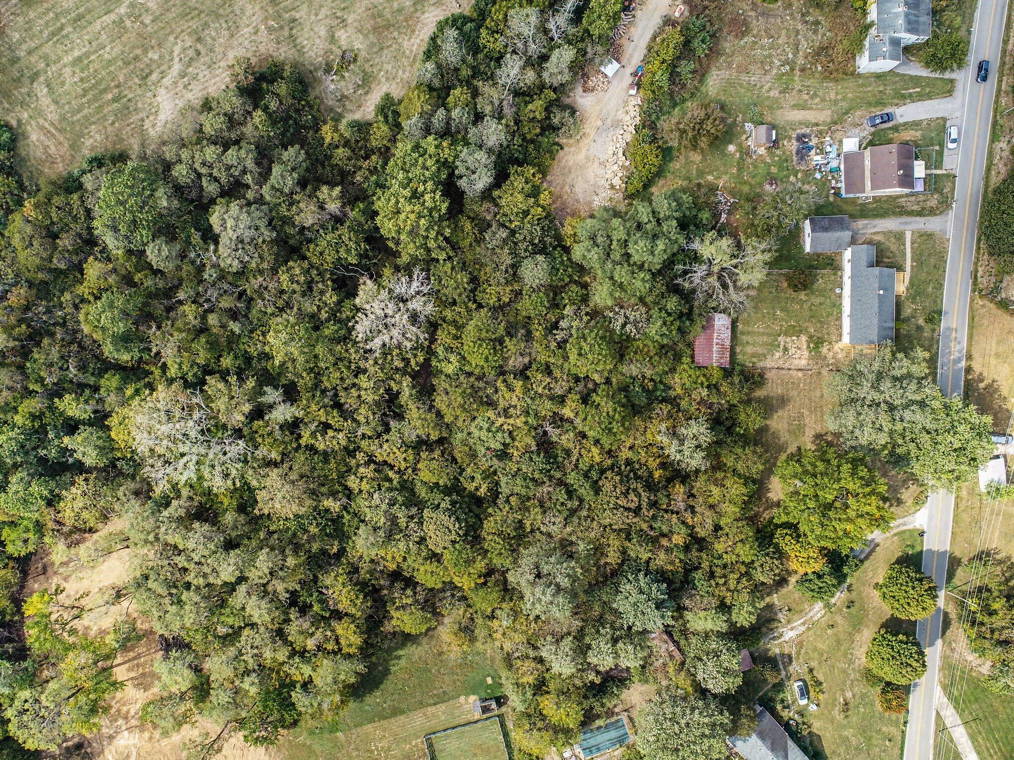 12058 Bowman Road Property Photo 35