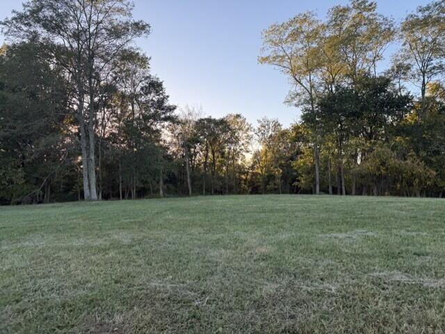 1886 West Creek Spur Property Photo 1