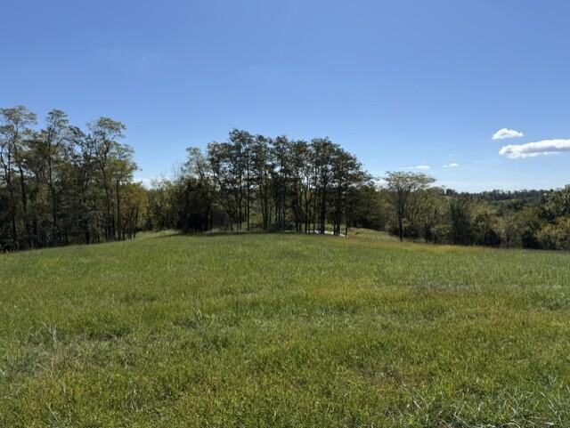 1066 West Creek Spur Property Photo 1
