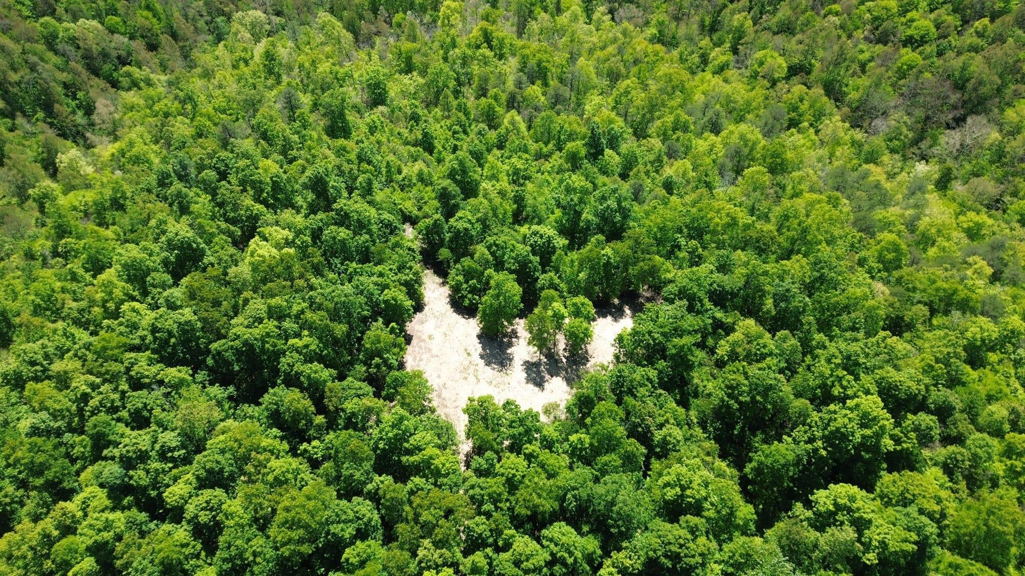 322a Clay Camp Road Property Photo 1