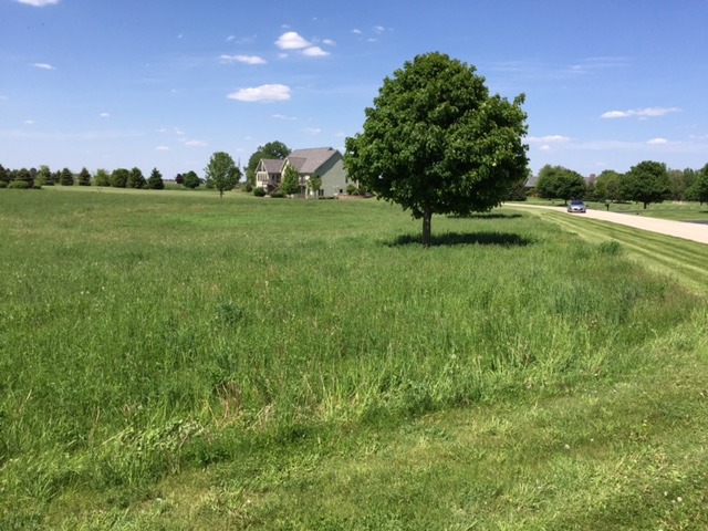8709 Prairiefield Drive Property Photo 3