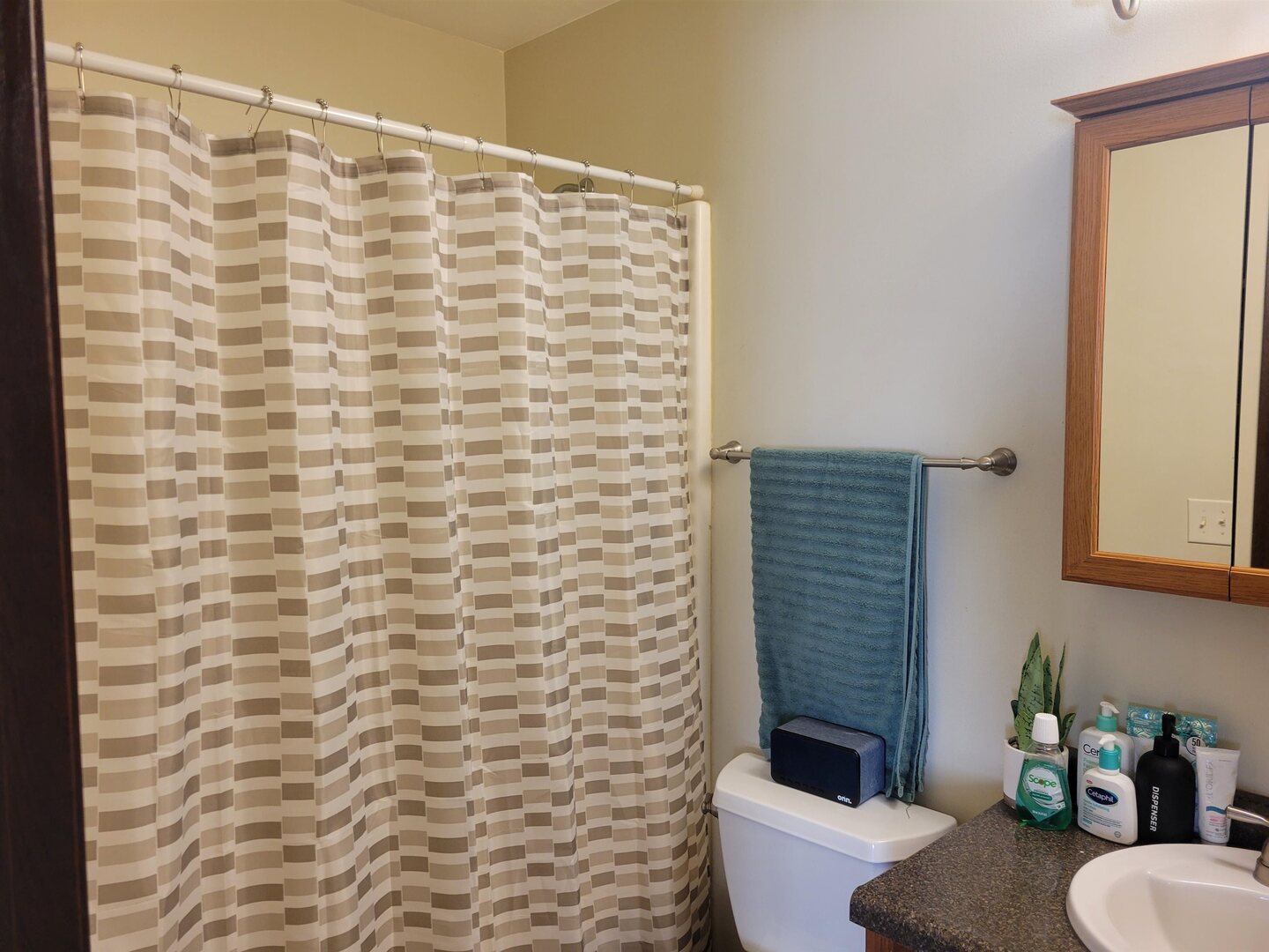1249 48th Ave Avenue 19 Property Photo 6