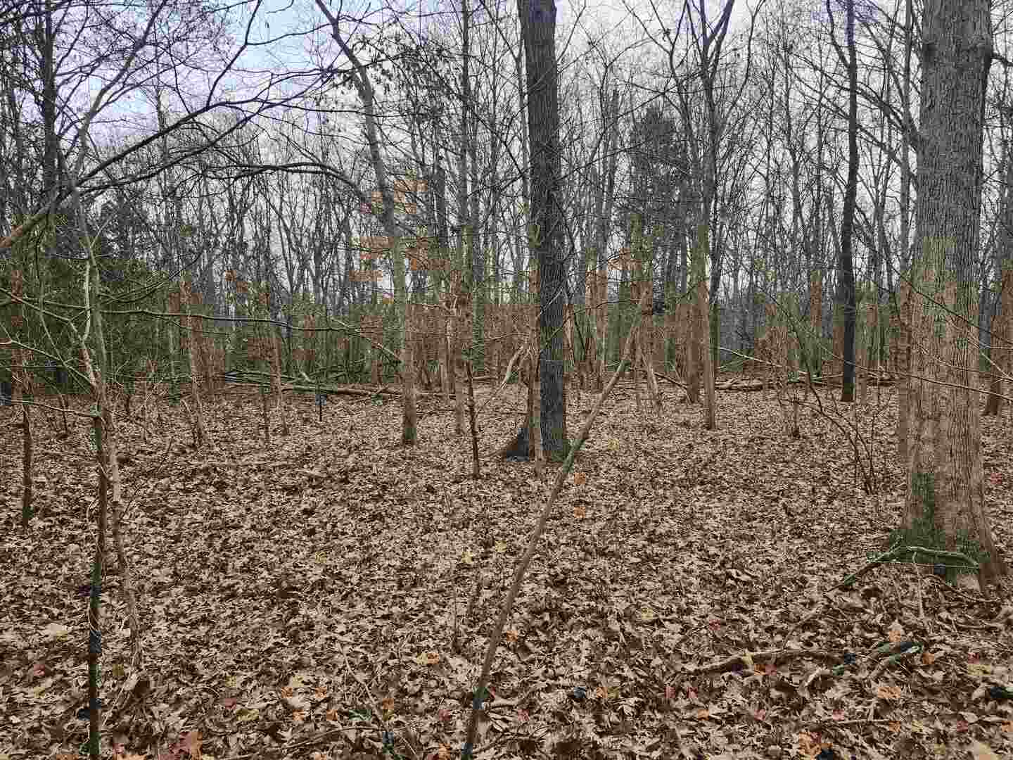 0 E Mozart Road Property Photo 6