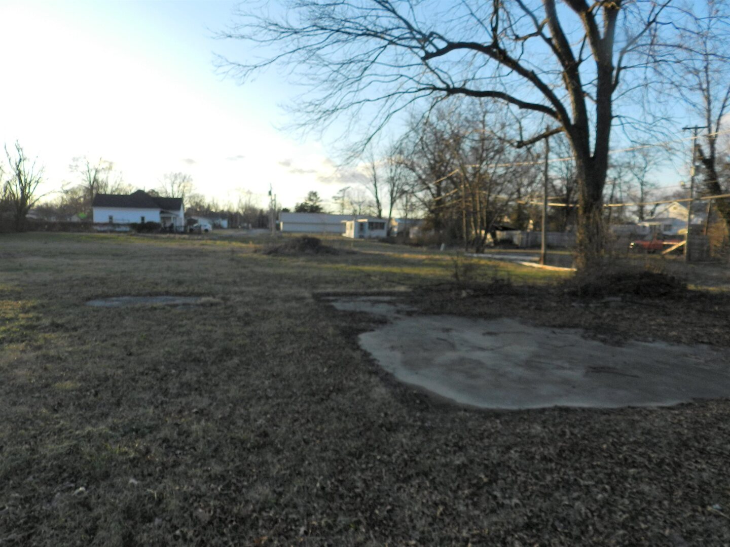 28 Sycamore St Street Property Photo 5