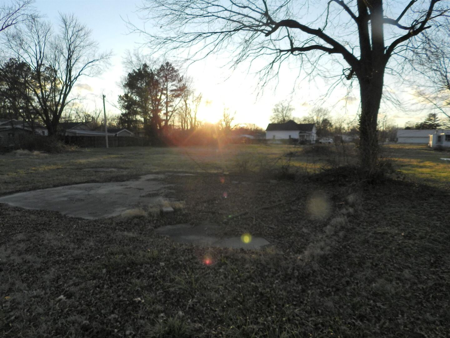 28 Sycamore St Street Property Photo 7