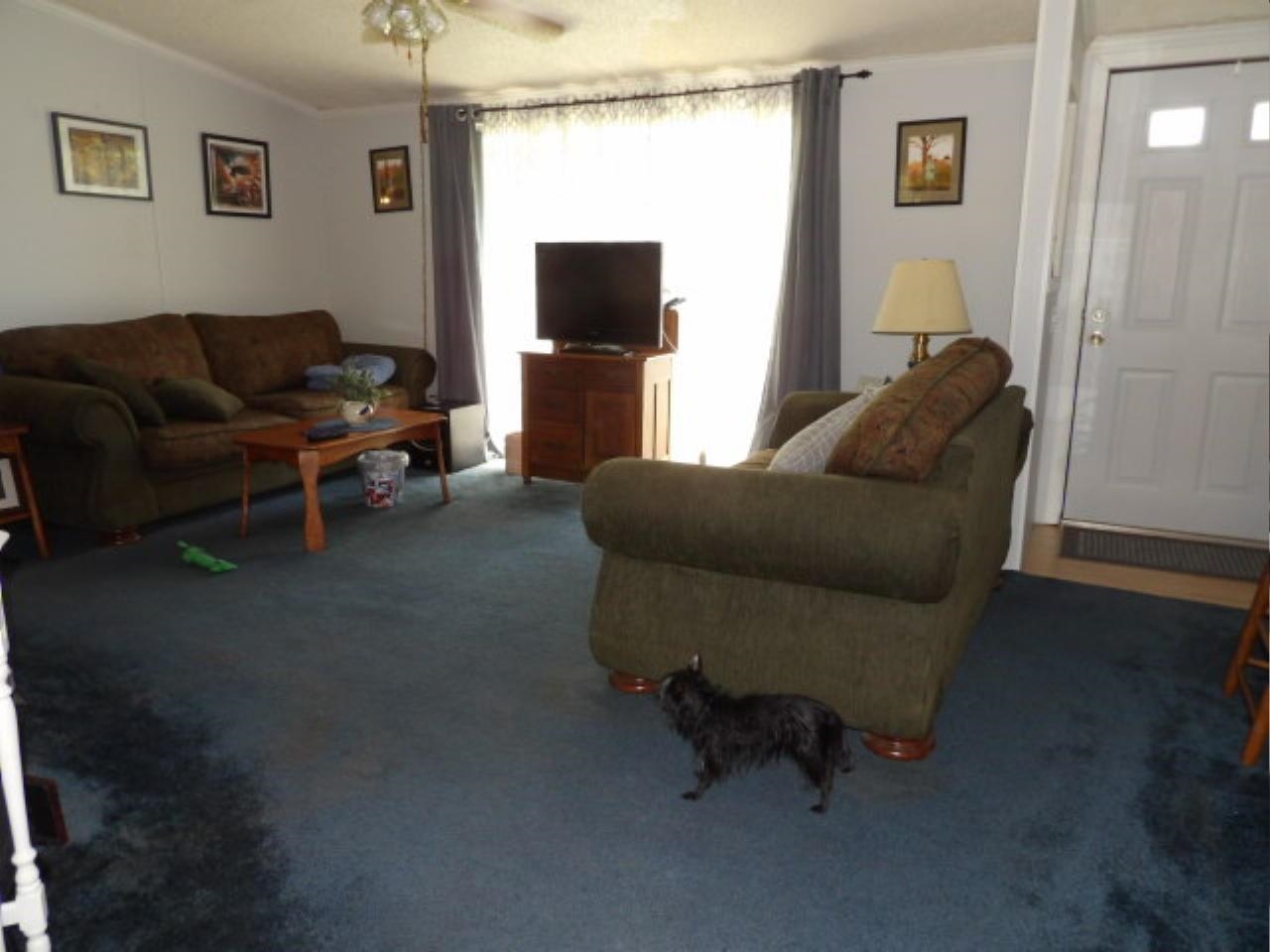 1117 Cannon Lane Property Photo 3