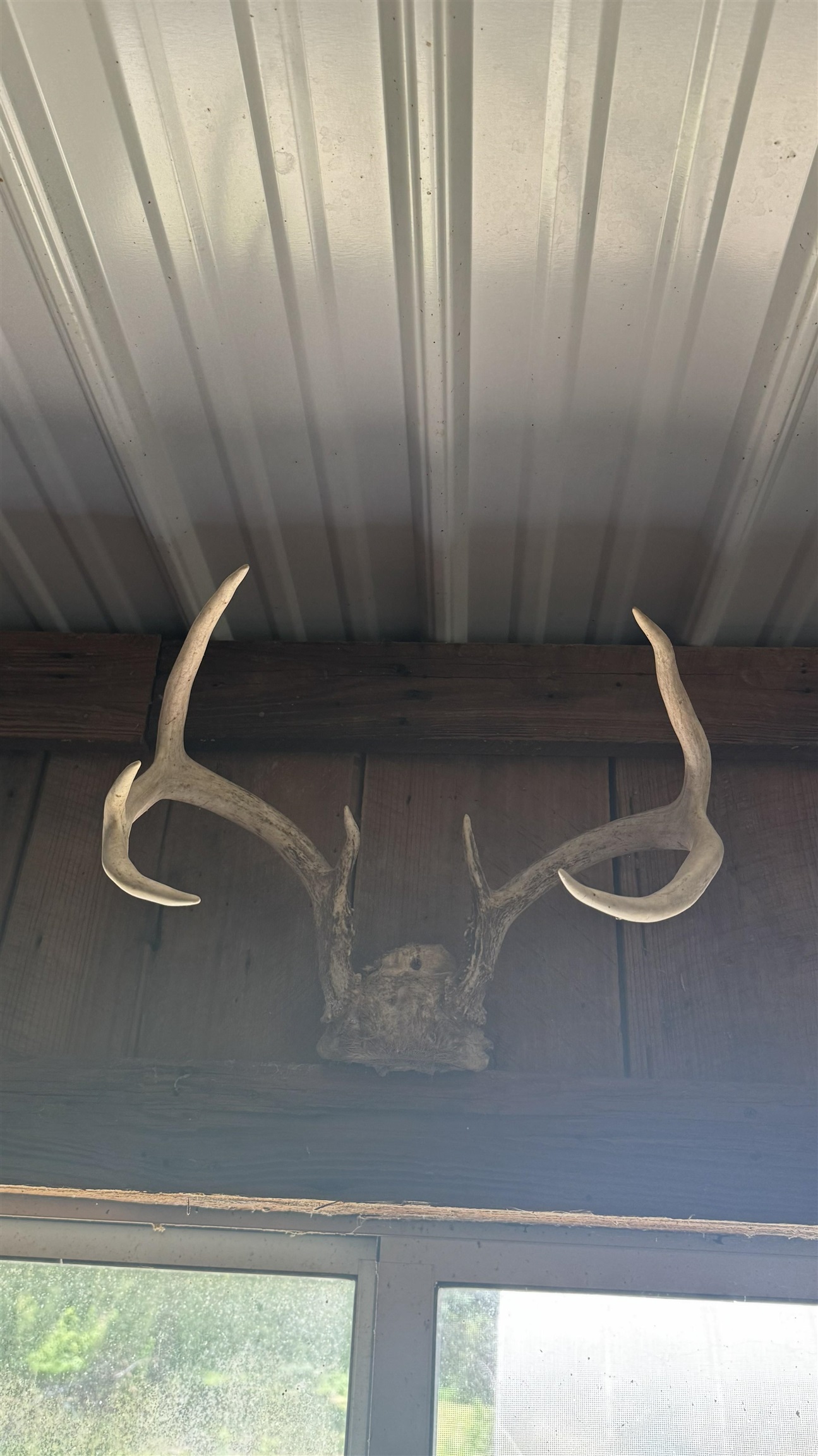 20598 Maggie Lane Property Photo 59