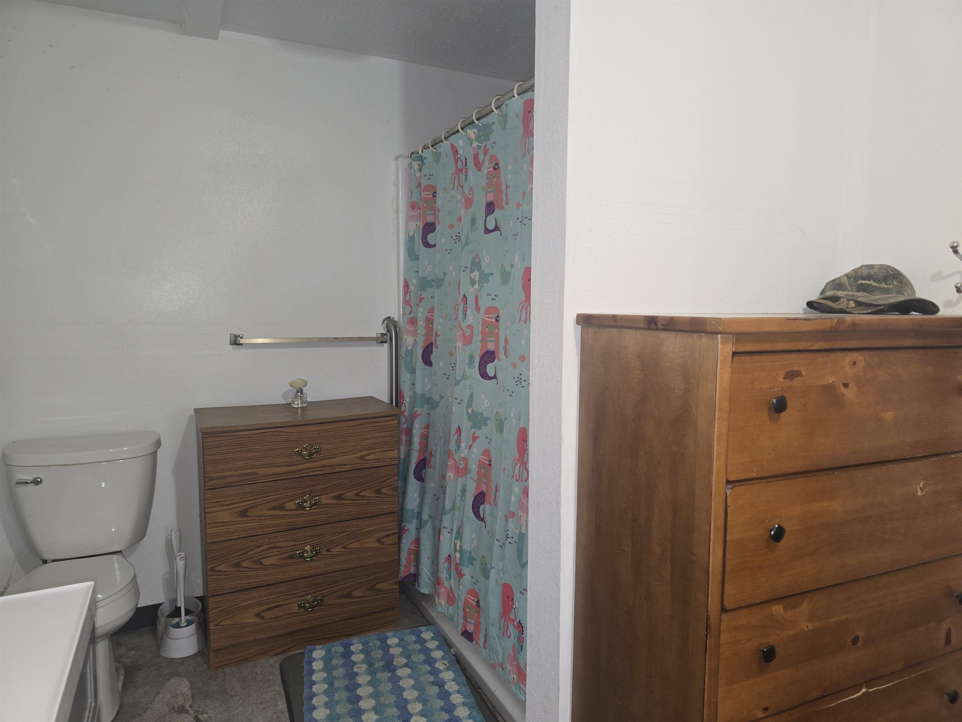 105 S Cedar Street Property Photo 19