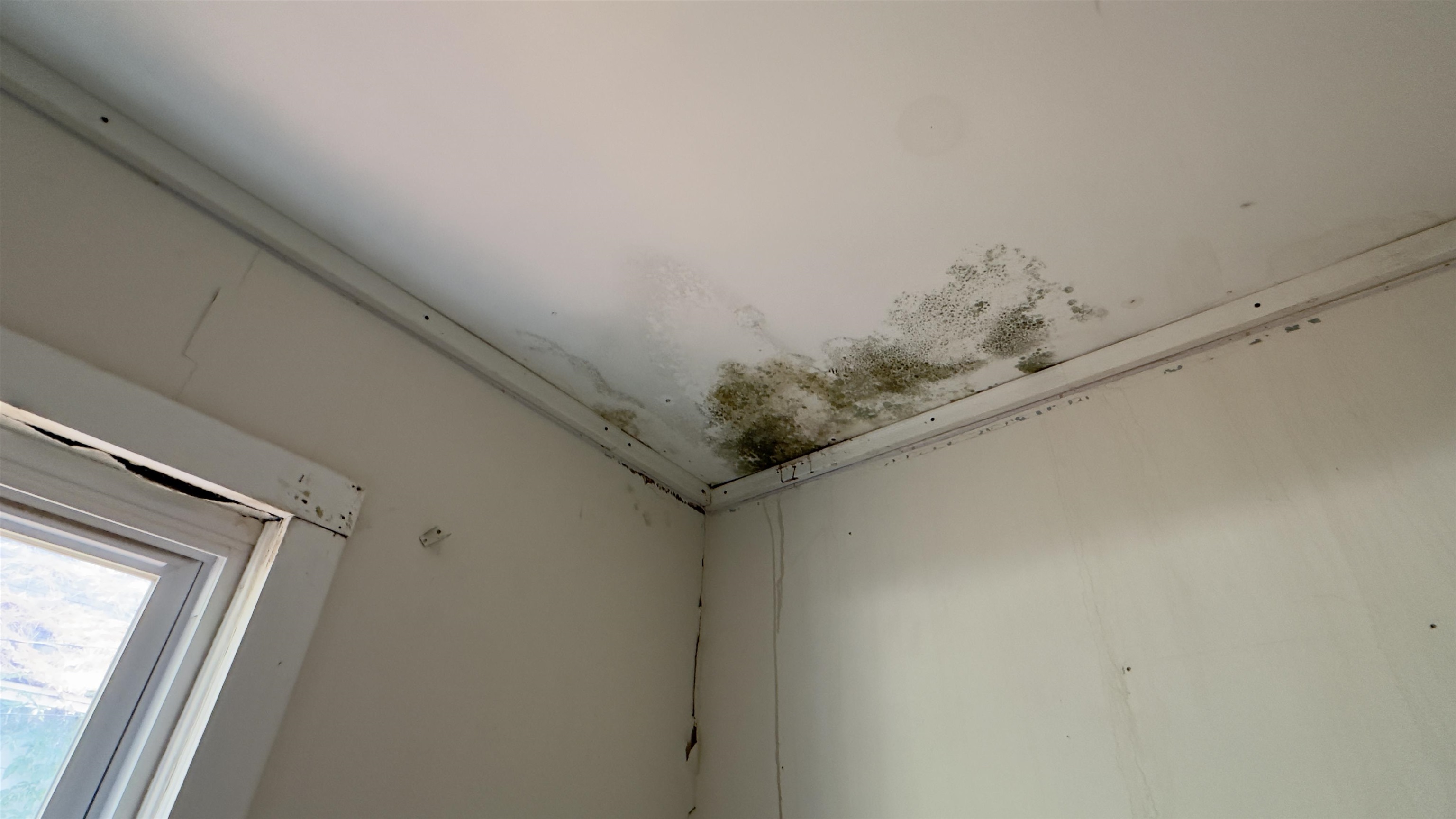 604 E Washington Street Property Photo 7
