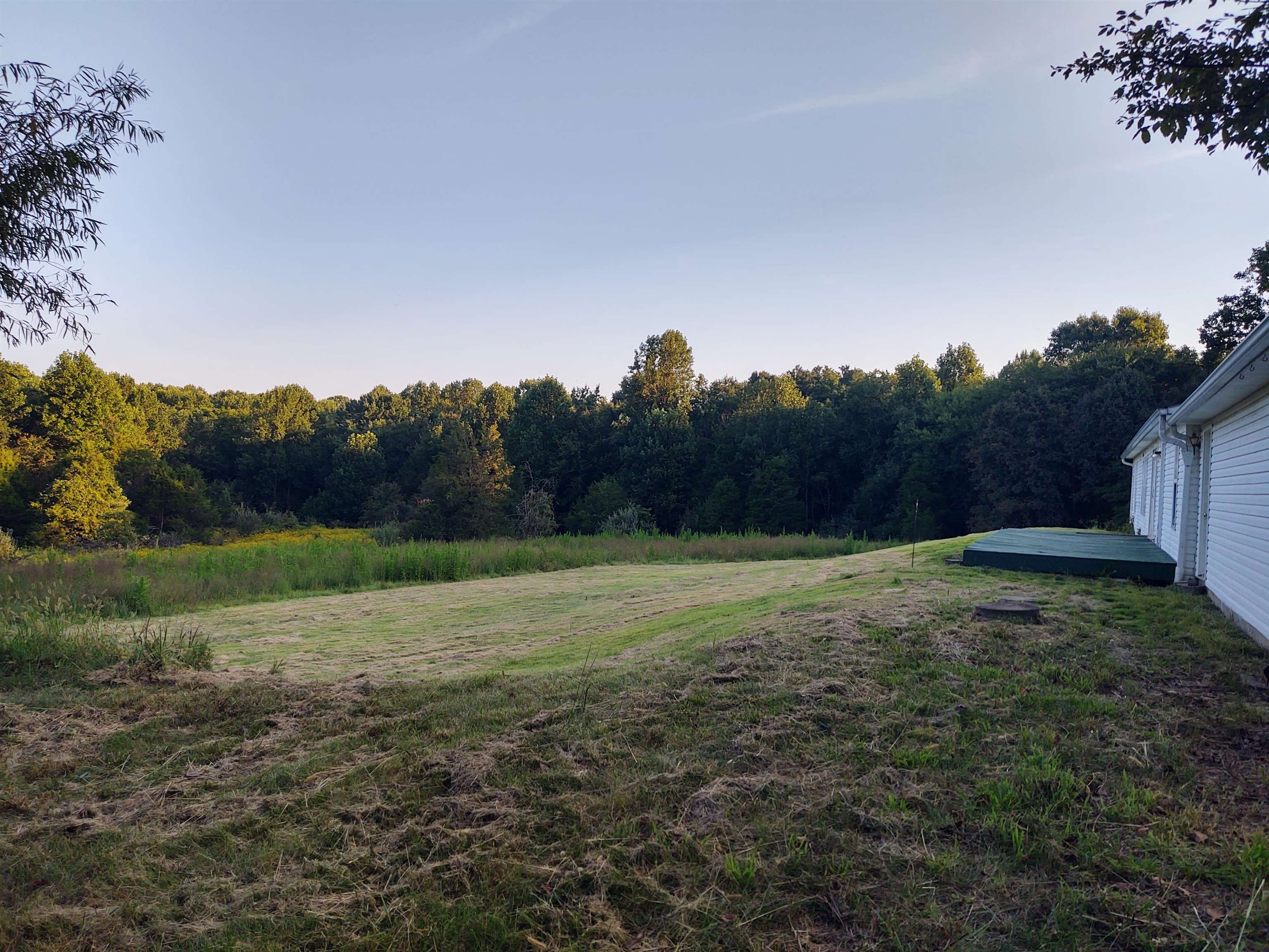 923 Ozark Road Property Photo 4
