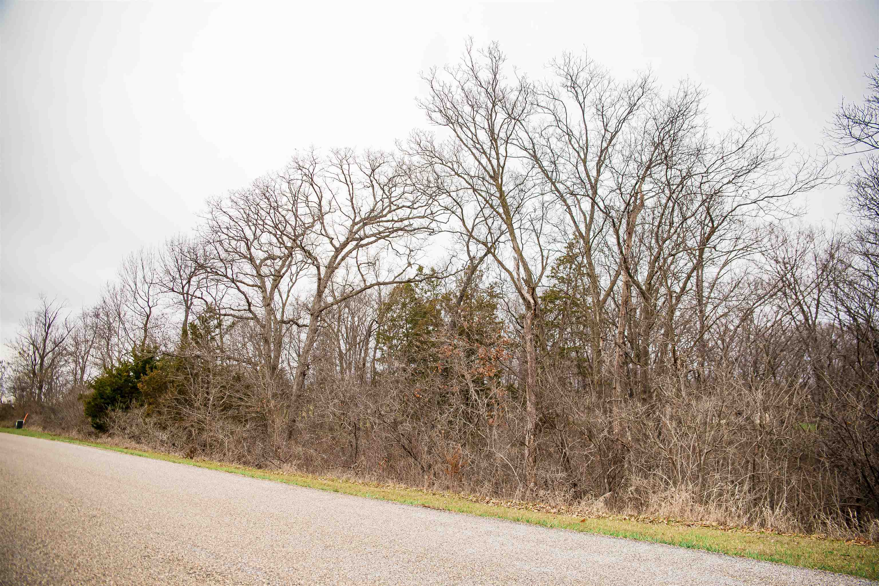 4823 Bitter Road Property Photo 2