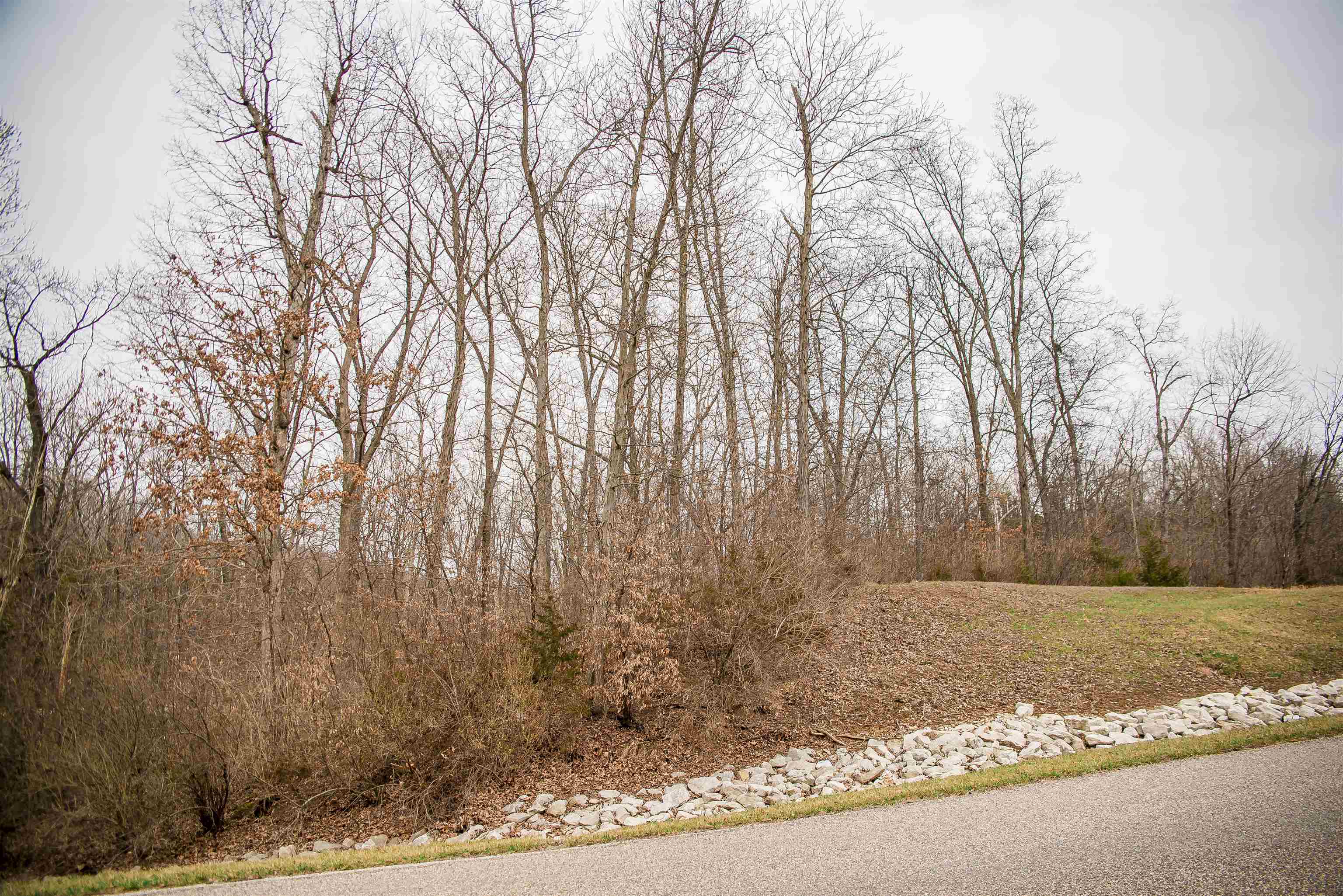 Se Sec 21 1.244 A Road Property Photo 1