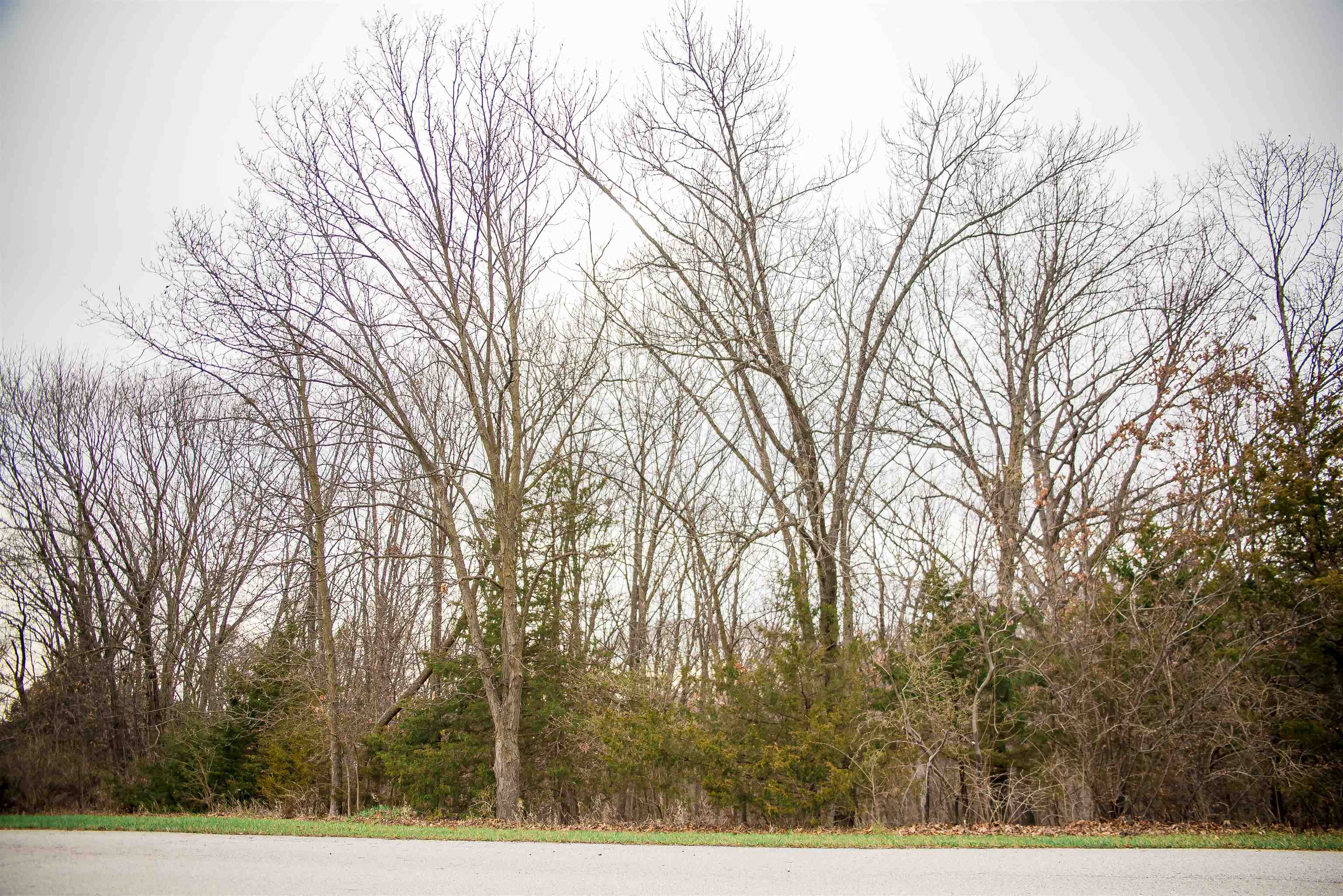 Se Cor Lot 15 Road Property Photo 1