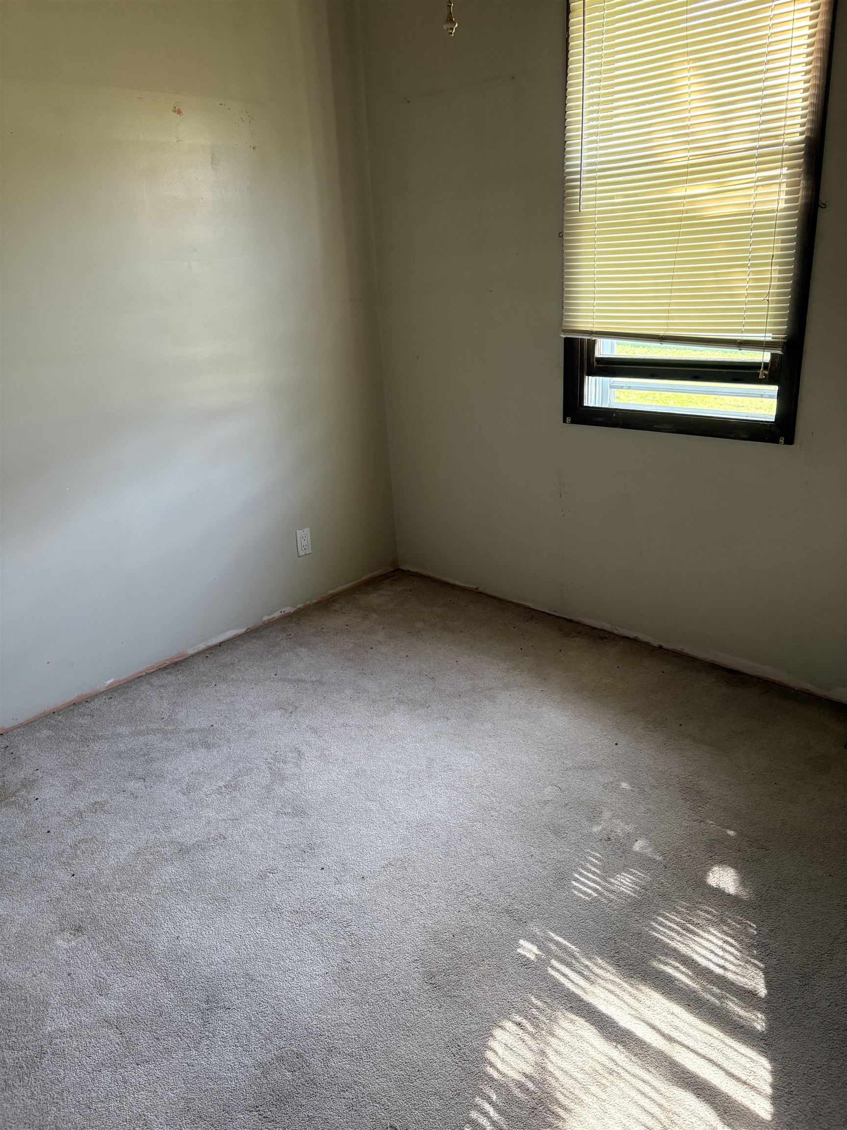 428 N Walnut Street Property Photo 5