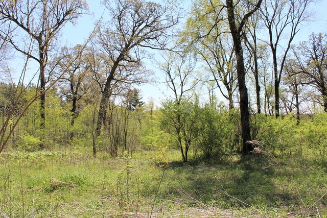 Lot 20 Masters Drive Property Photo 1