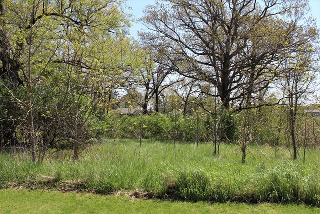 Lot 21 Masters Drive Property Photo 1