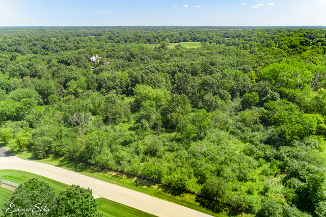 Lot 0 Steeplechase Road Property Photo 8