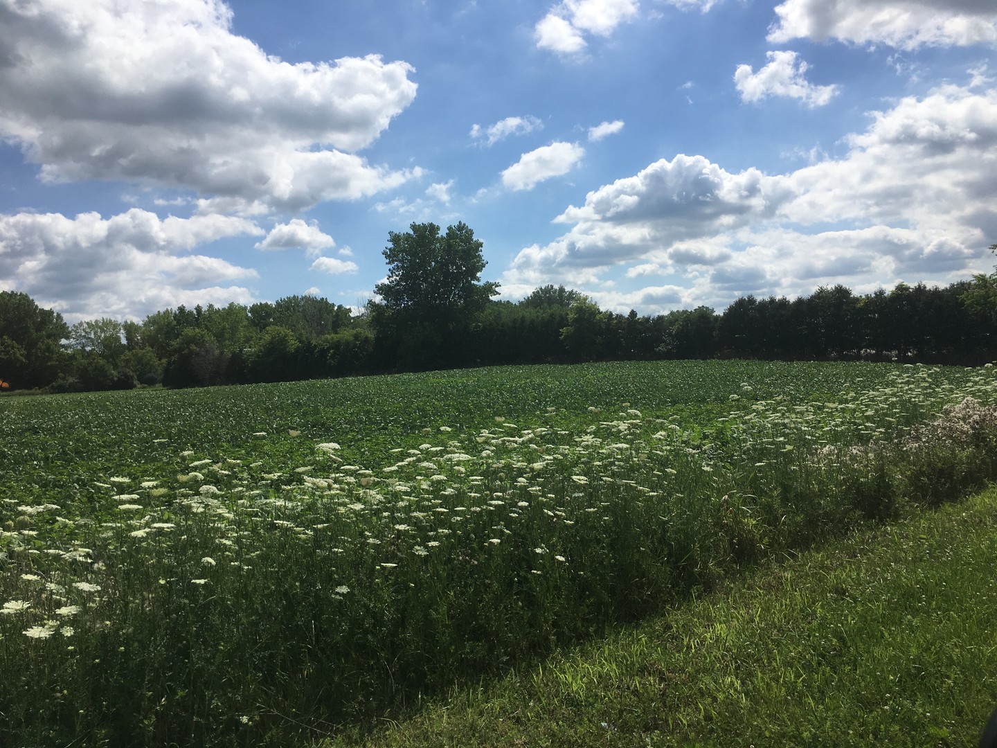 Lot 1 Koppie Road