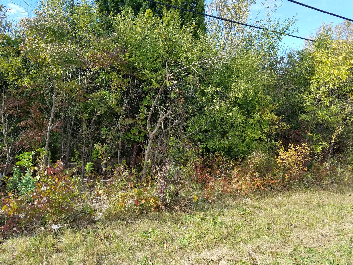 0 N State Street Property Photo 3