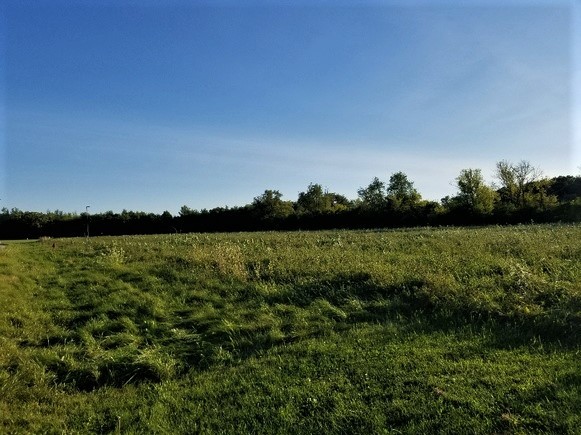 Lot 1 Mcconnell Road Property Photo 6