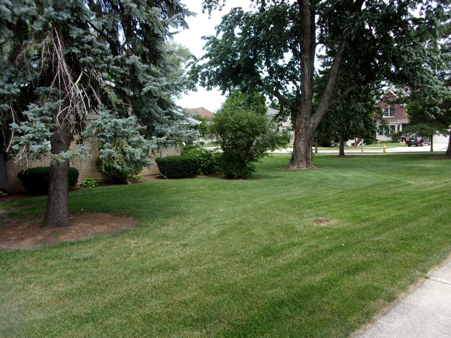 232 Eastgate Road Property Photo 8