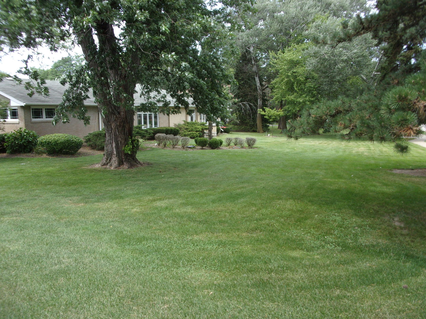 232 Eastgate Road Property Photo 9