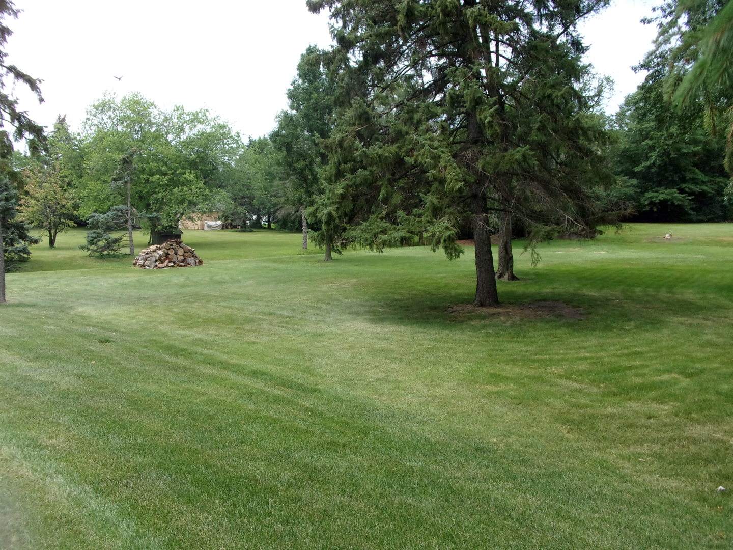 232 Eastgate Road Property Photo 12