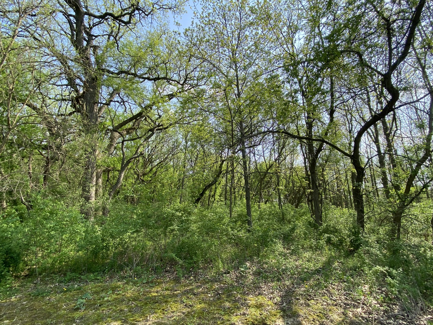 0000 Higgins Road Property Photo 31