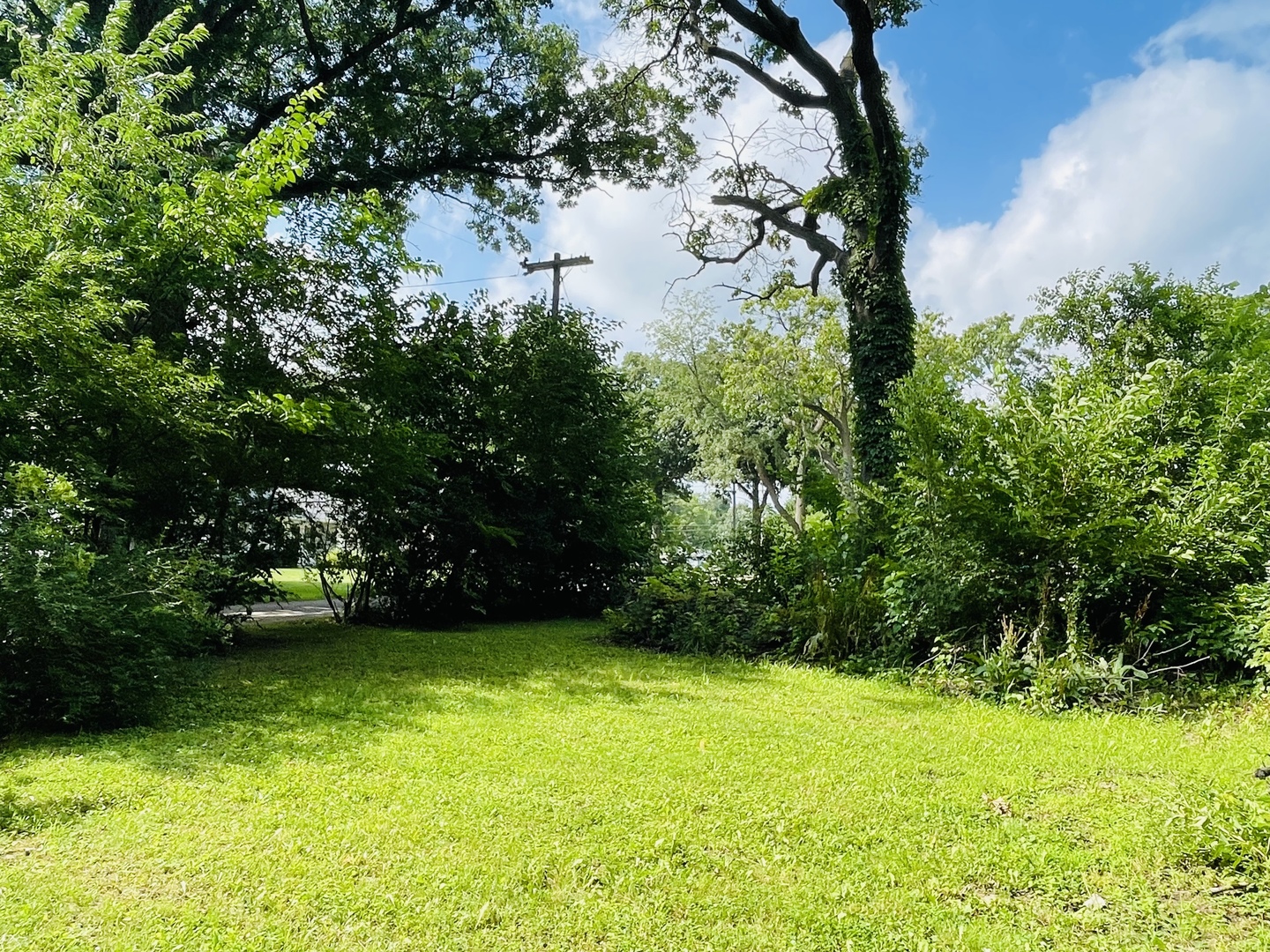 3 Maplewood Avenue Property Photo 1