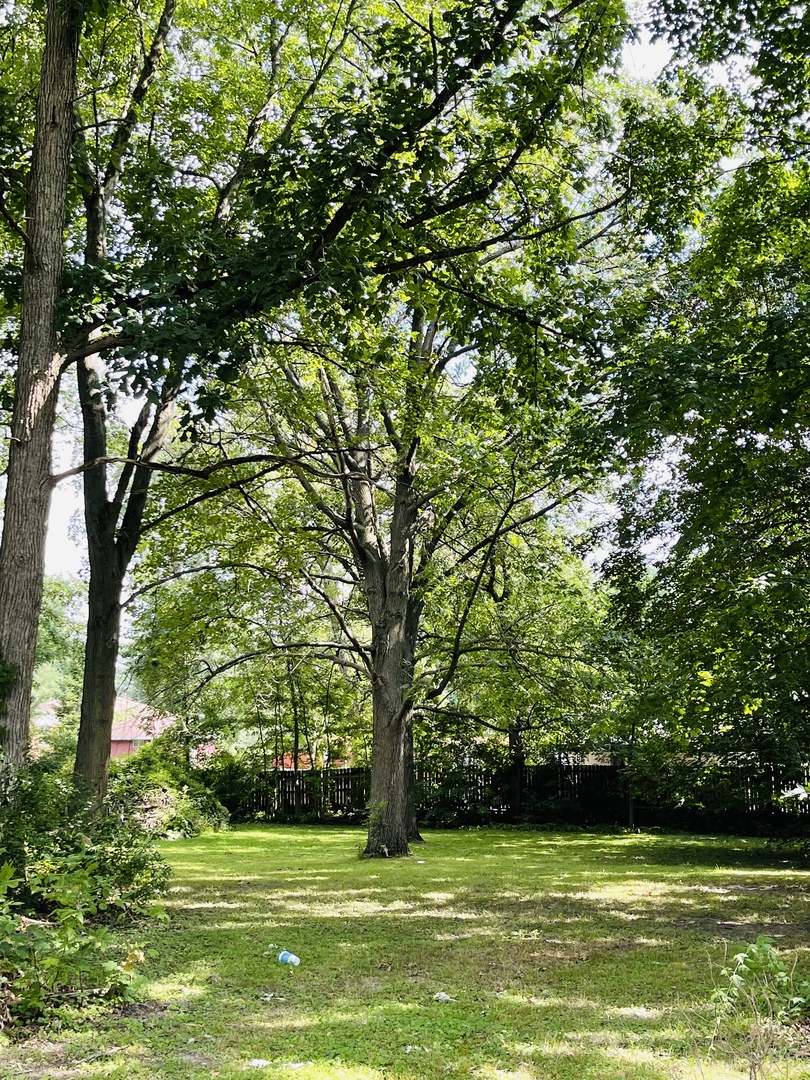 3 Maplewood Avenue Property Photo 2