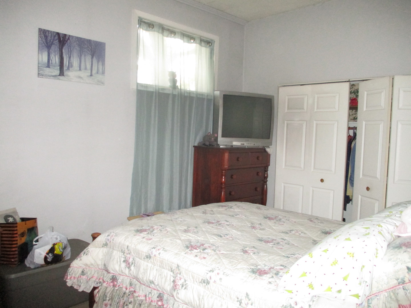 220 Honey Lake Court Property Photo 26