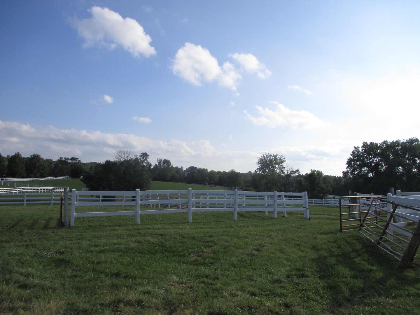 120 Grassmere Court Property Photo 9