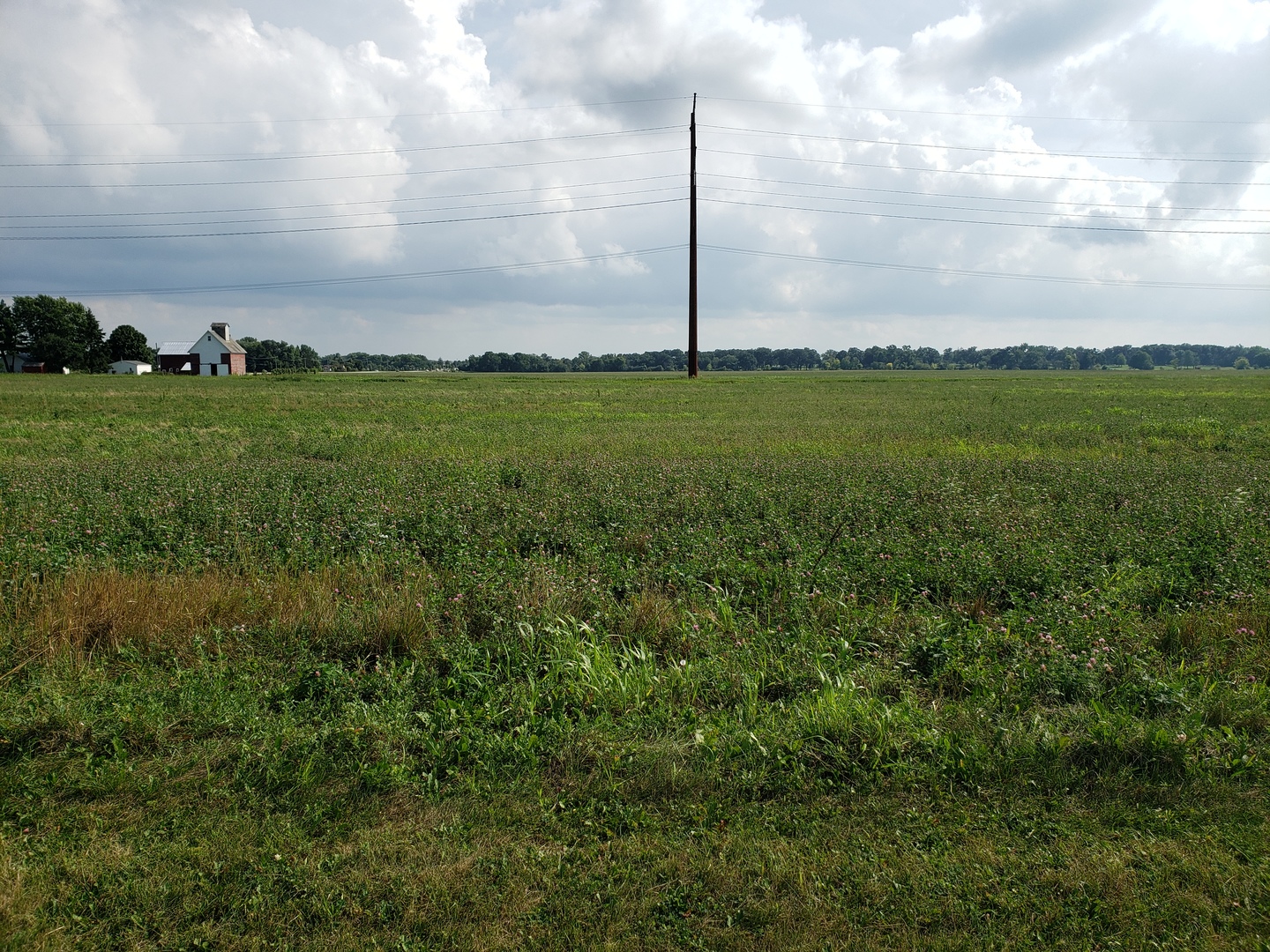 0 Dayfield Drive Property Photo 6