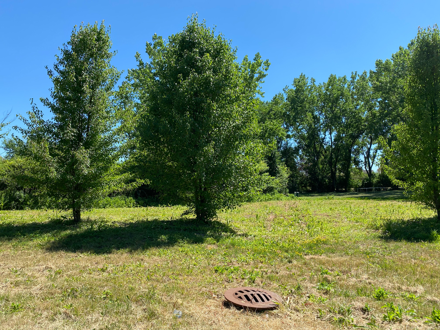 Lot 25 E Tiffany Drive Property Photo 5