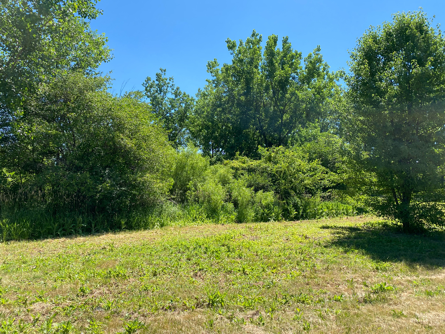 Lot 25 E Tiffany Drive Property Photo 6