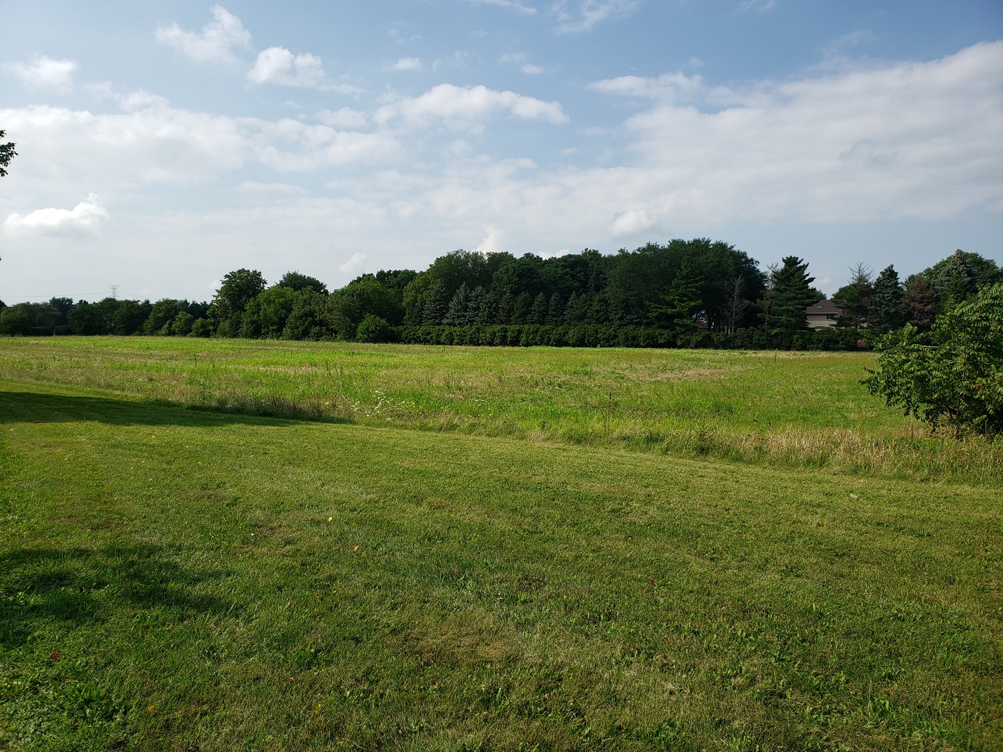000000 Dayfield Drive Property Photo 3