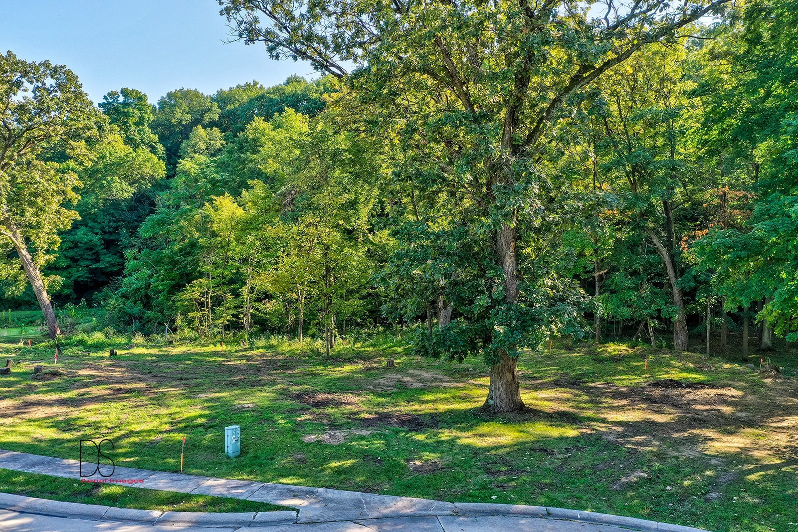 415 Deer Timber Lane Property Photo 2