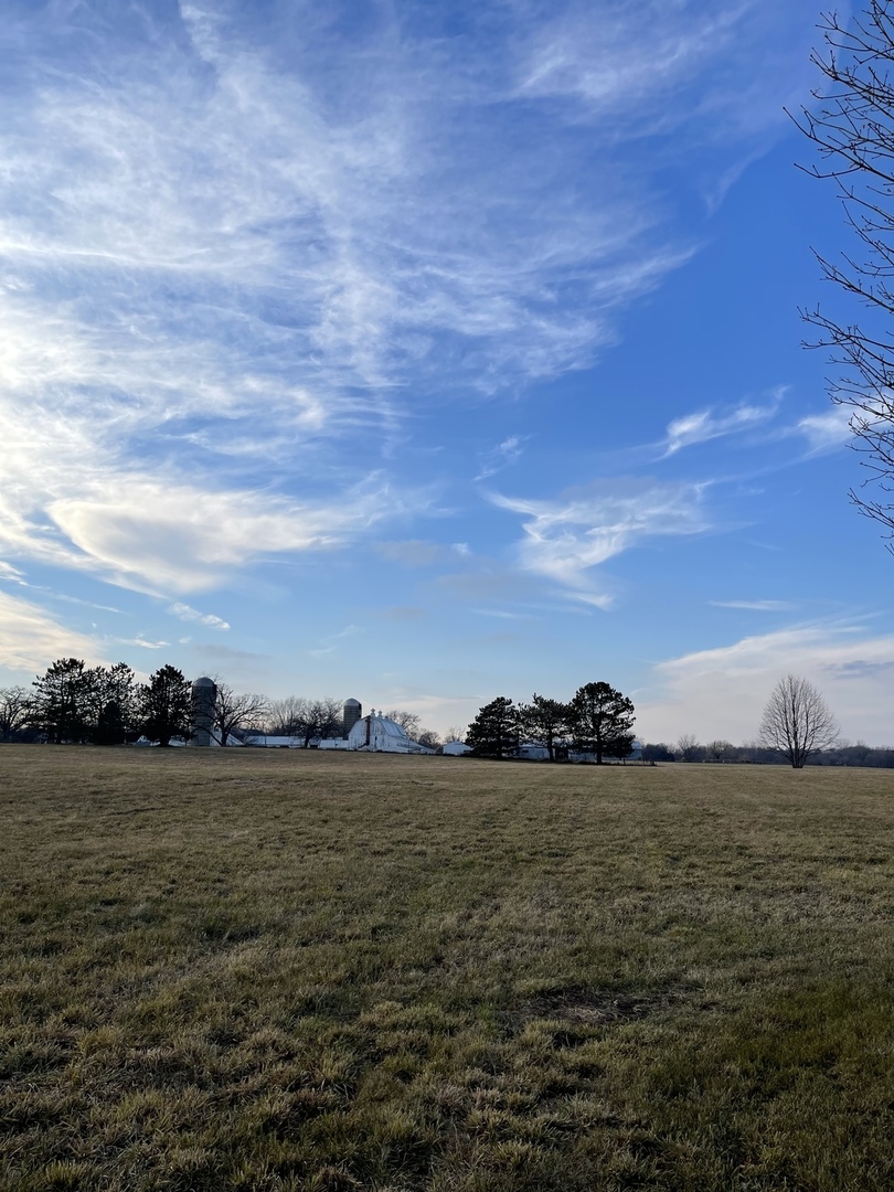 17408 Wildflower Circle Property Photo 4