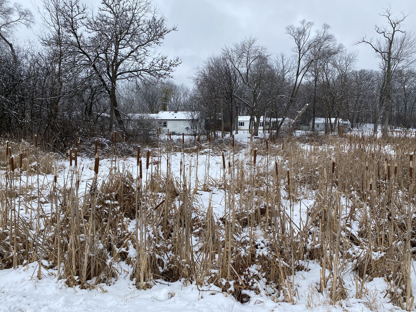 706 Henry Trail Property Photo 4