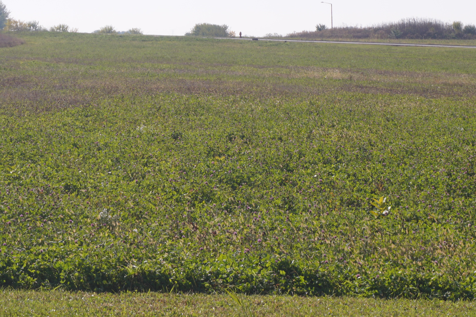Lot5 S Rt 52 Road Property Photo 1