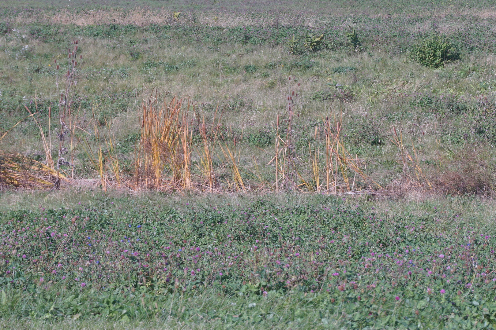Lot 4 S Rt 52 Road Property Photo 1