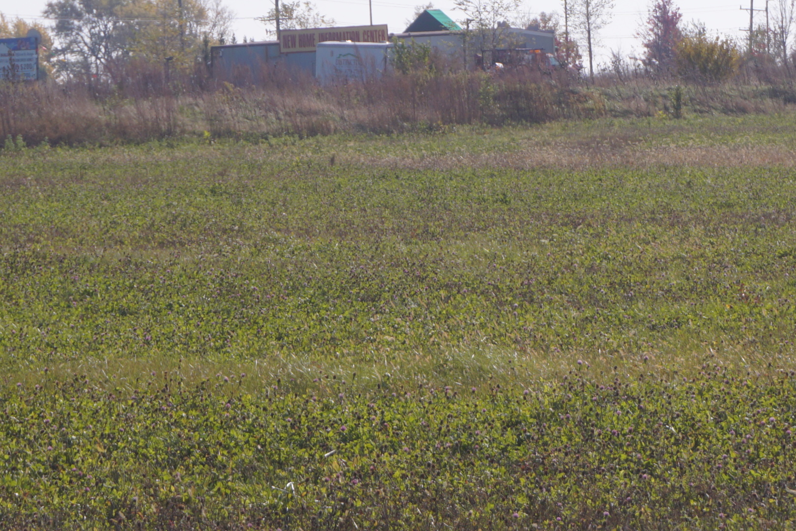 Lot3 S Rt 52 Road Property Photo 1
