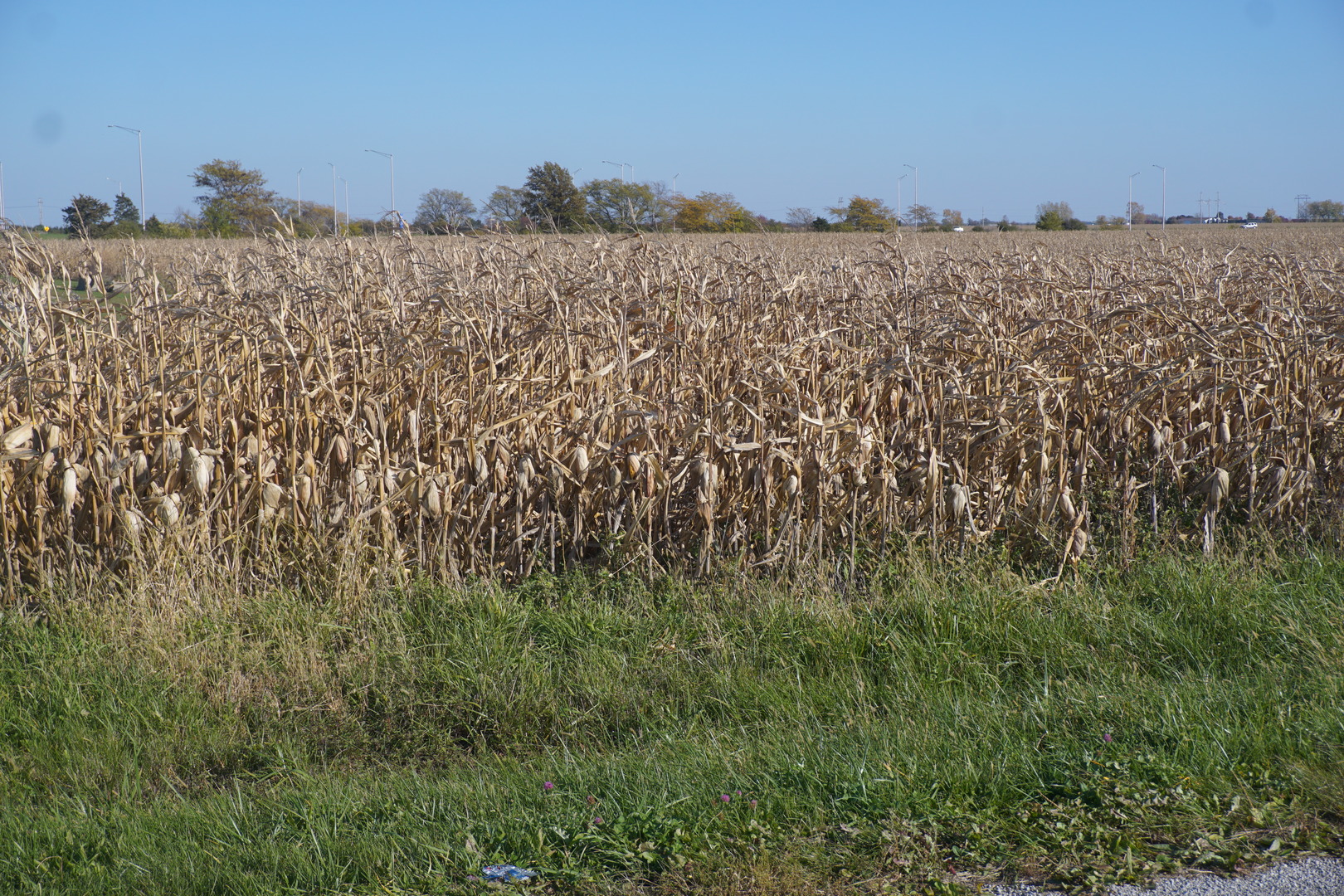Sec7 Twp26N R10E Road Property Photo 1