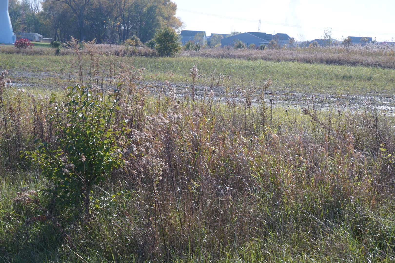 Lot 5 Us Rte 6 Road Property Photo 3