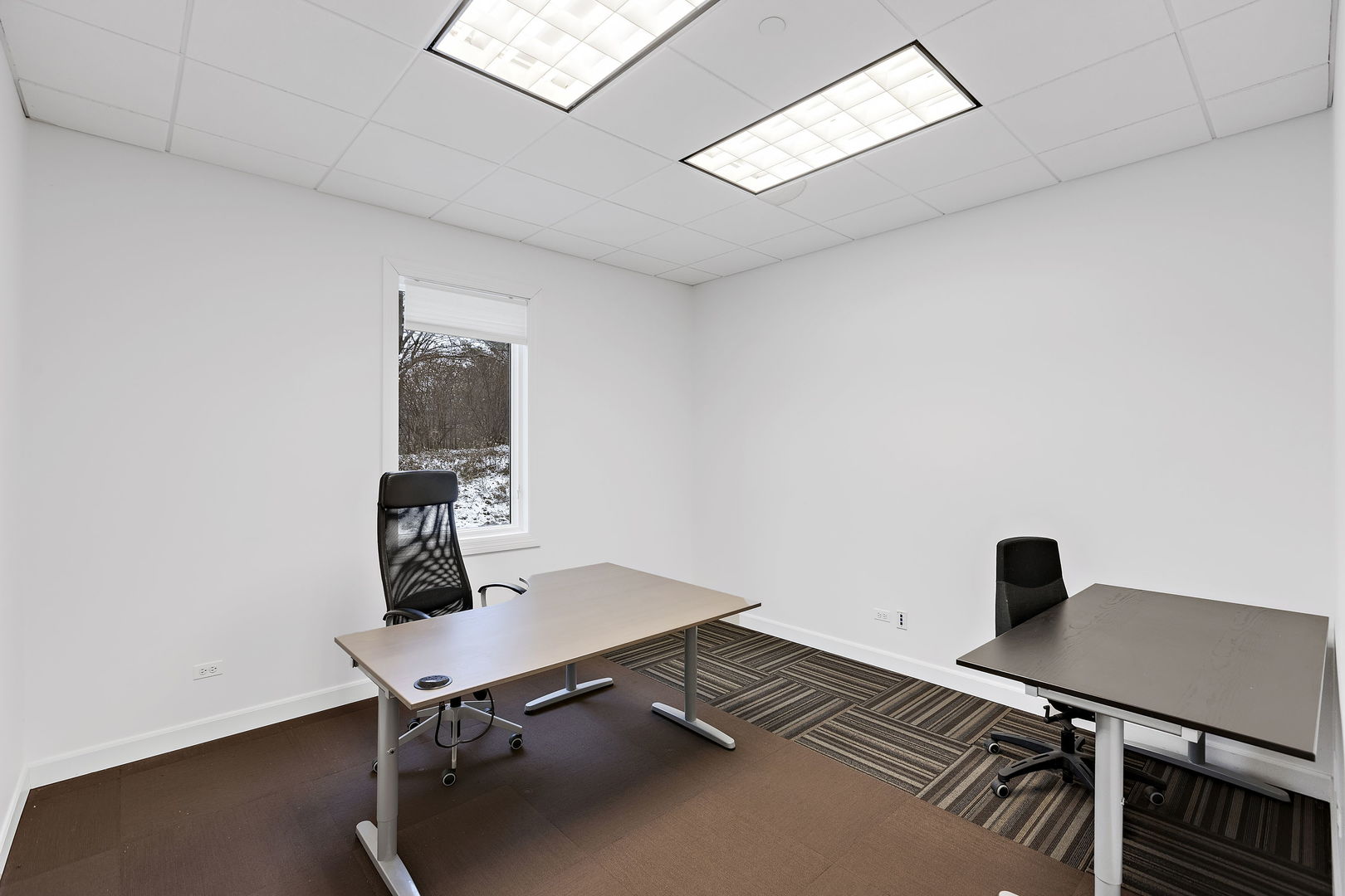 6 Executive Court Property Photo 17