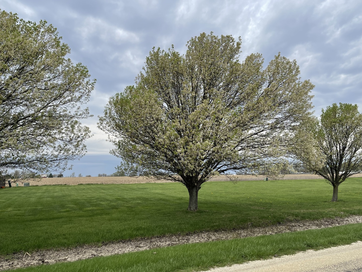 Lot 6 S 16000 W Road Property Photo 1