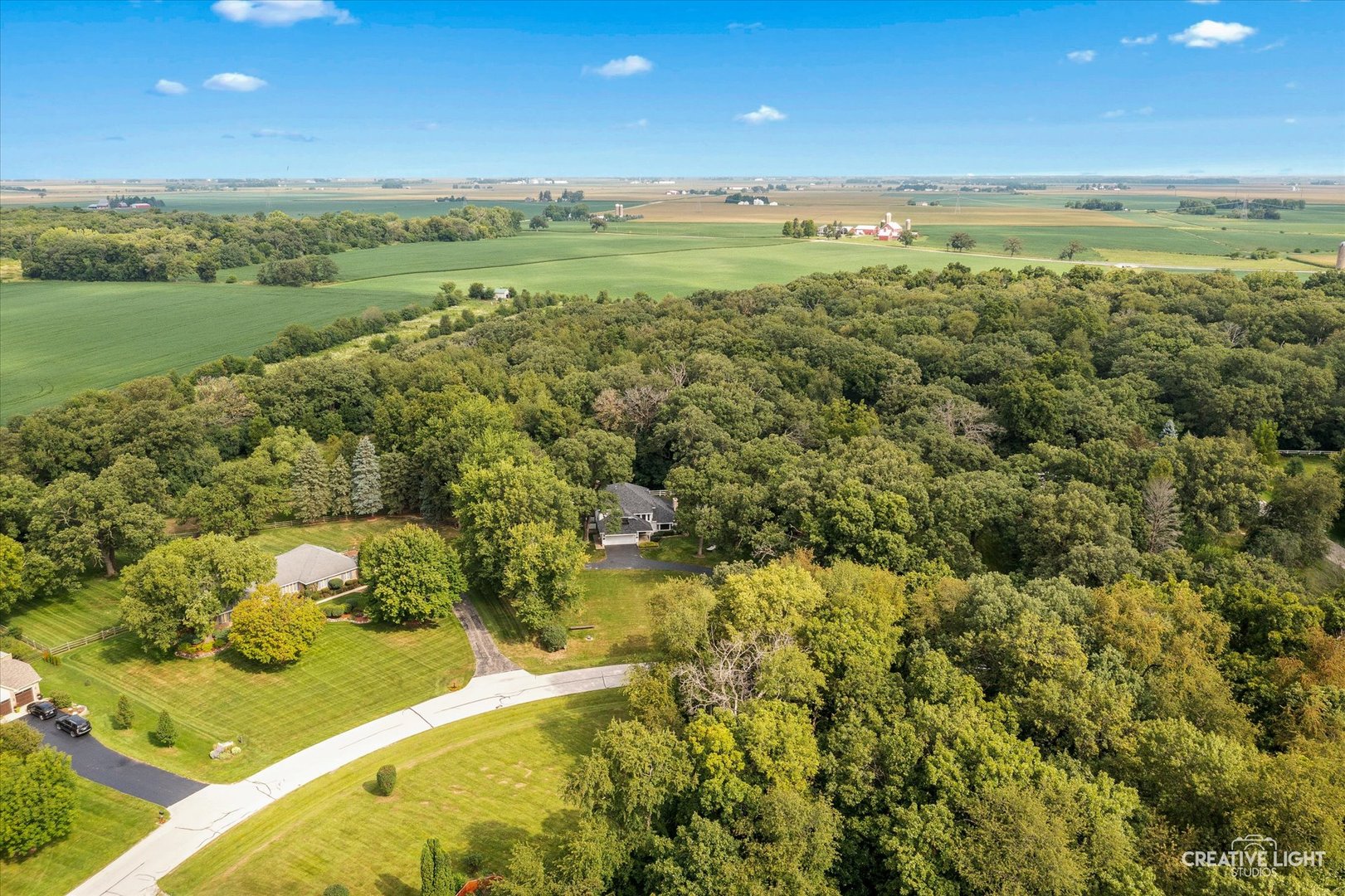 49w194 Deer Ridge Path Property Photo 6
